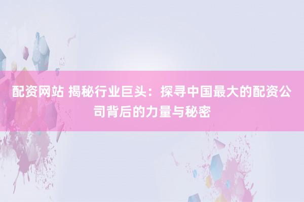 配资网站 揭秘行业巨头：探寻中国最大的配资公司背后的力量与秘密