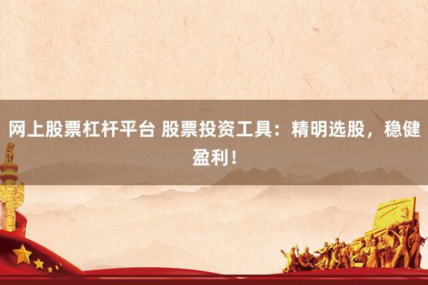 网上股票杠杆平台 股票投资工具：精明选股，稳健盈利！