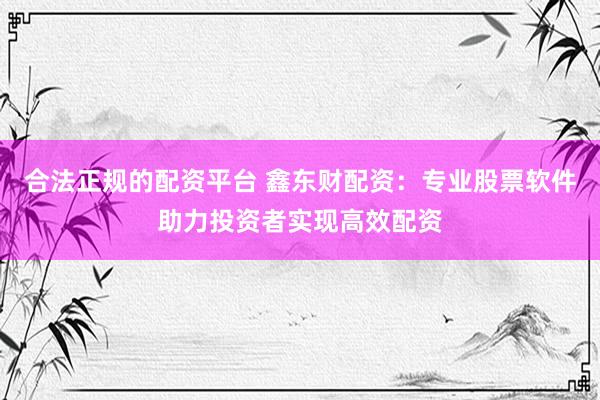 合法正规的配资平台 鑫东财配资：专业股票软件助力投资者实现高效配资