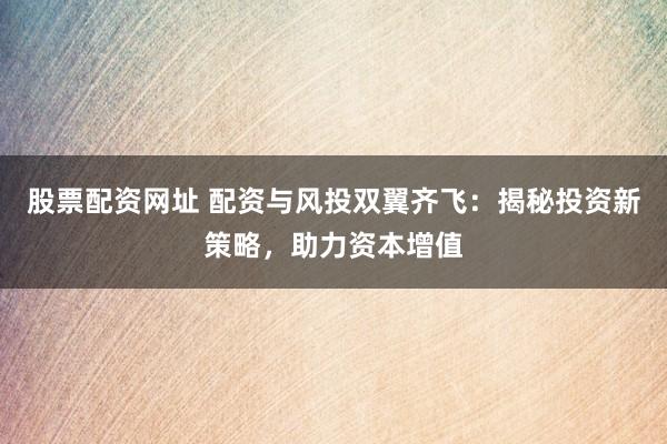 股票配资网址 配资与风投双翼齐飞：揭秘投资新策略，助力资本增值