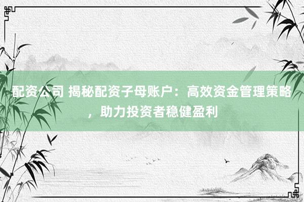 配资公司 揭秘配资子母账户：高效资金管理策略，助力投资者稳健盈利