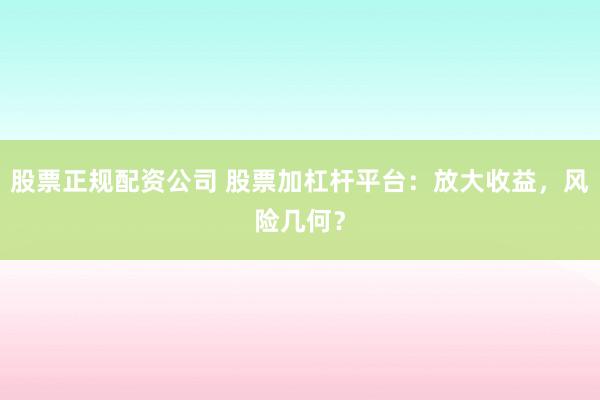 股票正规配资公司 股票加杠杆平台：放大收益，风险几何？