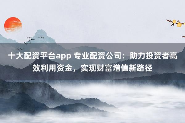 十大配资平台app 专业配资公司：助力投资者高效利用资金，实现财富增值新路径
