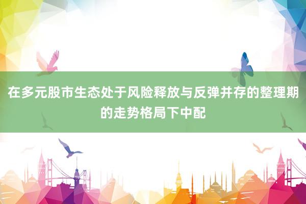 在多元股市生态处于风险释放与反弹并存的整理期的走势格局下中配