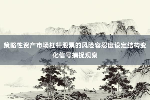 策略性资产市场杠杆股票的风险容忍度设定结构变化信号捕捉观察