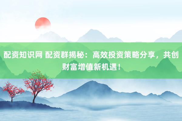 配资知识网 配资群揭秘：高效投资策略分享，共创财富增值新机遇！