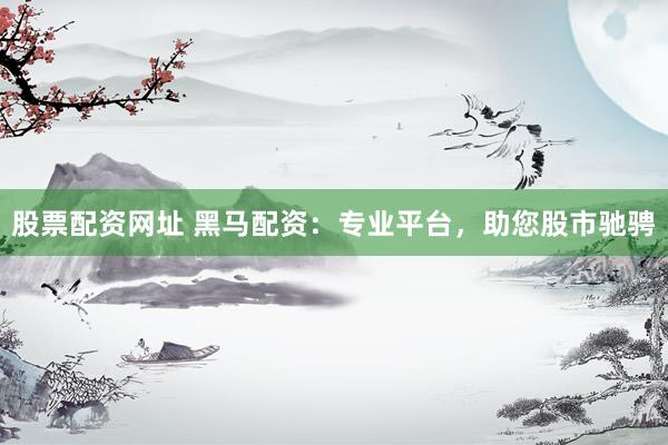股票配资网址 黑马配资：专业平台，助您股市驰骋